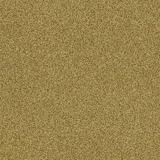 Interface Touch and Tones 101 II Gold 4174075