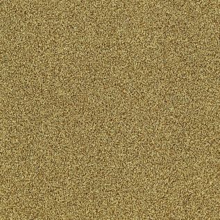 Interface Touch and Tones 102 II Gold 4175083